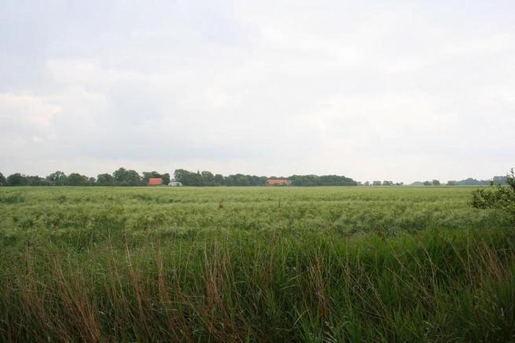 Ferienhaus 3370 In Tossens Stick Exteriér fotografie